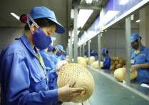 越南,“小微”企业即将享受15-17%的企业所得税优惠？